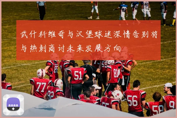 武什科维奇与汉堡球迷深情告别将与热刺商讨未来发展方向